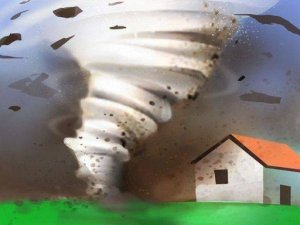 Swirl Growth Online Arena