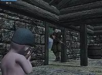 Irish Baby Shooting Arcade