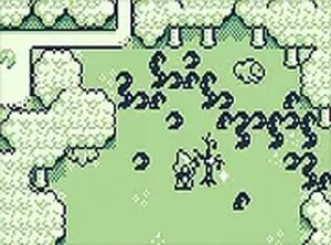 Woodland Companion Puzzle Quest