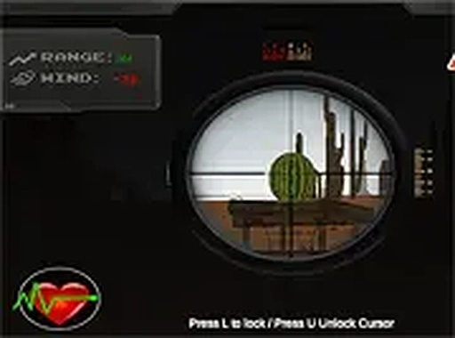 Hit Targets Shooting Online Game