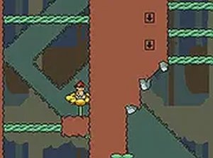 Verdant Grove Seed Puzzle